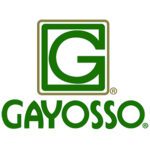 logo_gayosso